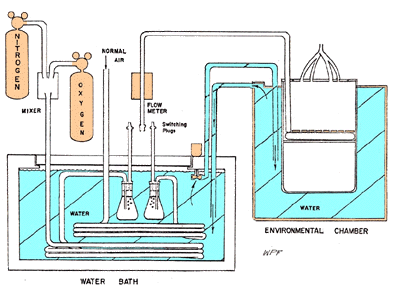 My Environmental Chamber